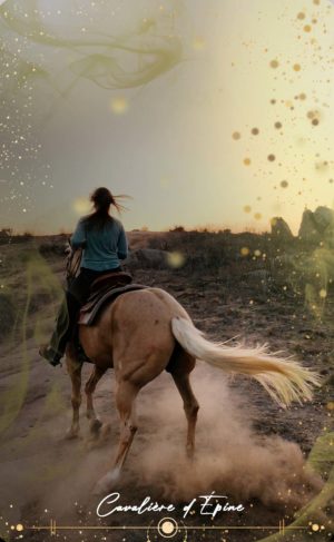 38_cavaliere_epine_tarot_femme_moderne_la_crea_de_k