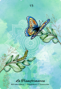 13_La_transformation_arrondisx35